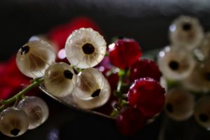 enkel dessert i glas